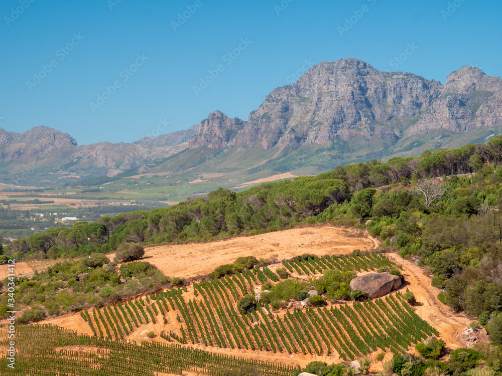 South African Wine Country Paarl from Top in Panorama Style