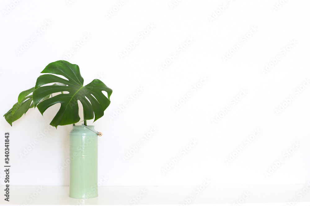 Interior with monstera leaves Interior with monstera leaves