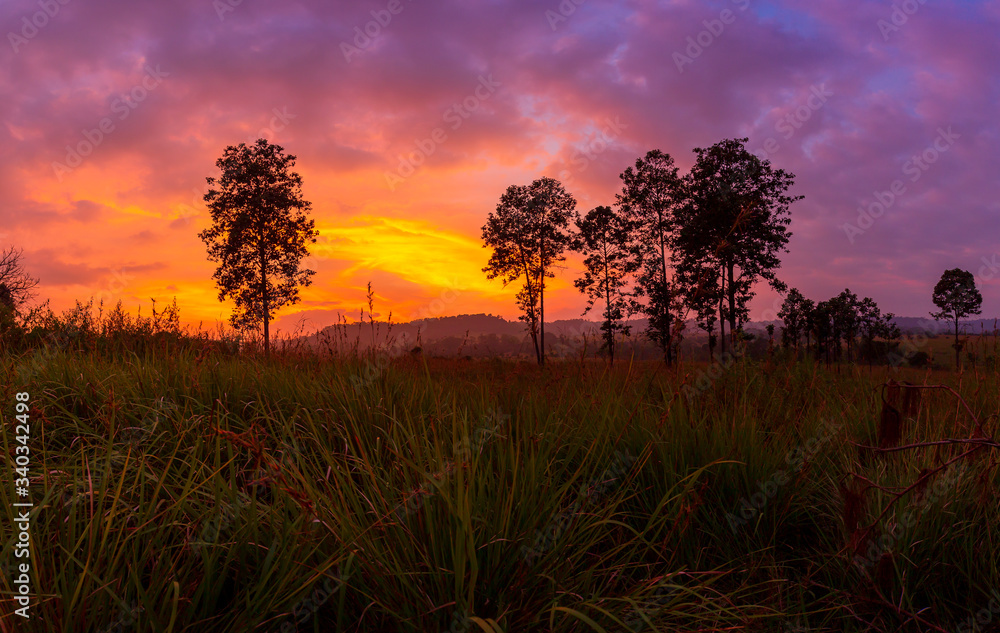 Fototapeta premium Beautiful sunset sky with birds,
