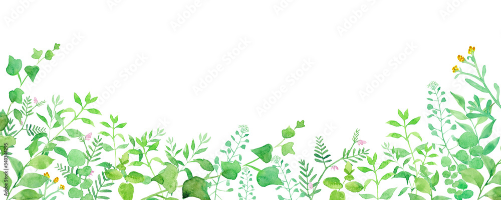 グリーンの草花の横長装飾フレーム　水彩イラスト