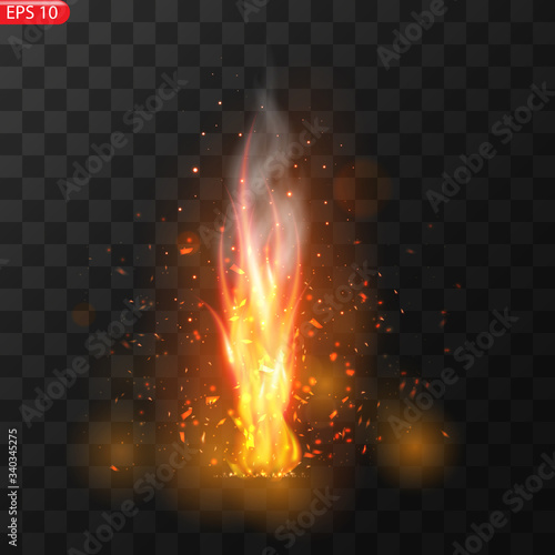 Realistic burning fire flames vector 