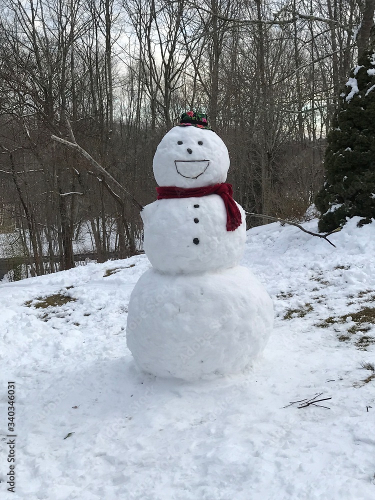 Naklejka premium A snowman dressed up and with a big smile in a yard after snowfall