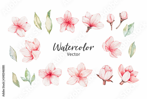 Fototapeta Naklejka Na Ścianę i Meble -  Vector Watercolor botanical illustration. Pink cherry blossom. Collection with gentle flowers, bud, branches and green leaves. Perfect for wedding invitations, cards, frames, posters, packing.