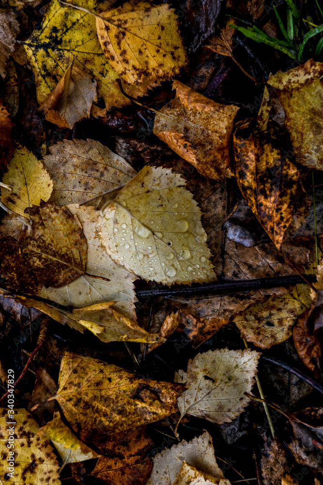 Texture Texture