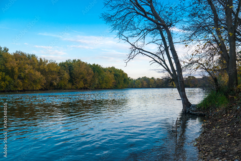 Obraz premium lake in the forest
