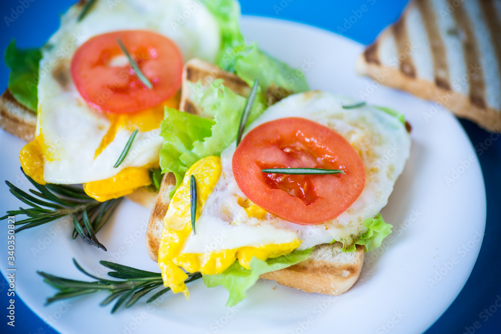fried toasts with egg, salad, tomato in a plate fried toasts with egg, salad, tomato in a plate