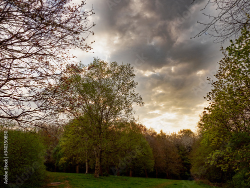 DRAMATIC CLOUDS OVER THE TREES