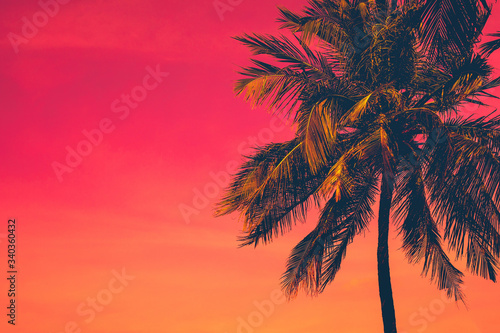 Golden tropical sunset with dark silhouette of coconut palm tree. Trendy vintage toned summer travel background with copy space. Retro style creative design concept. Open composition. 