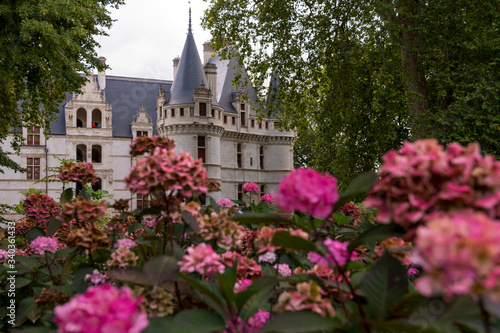 Wallpaper Mural External view of Azay-le-Rideau castle in the Loire Valley, France (Europe) Torontodigital.ca