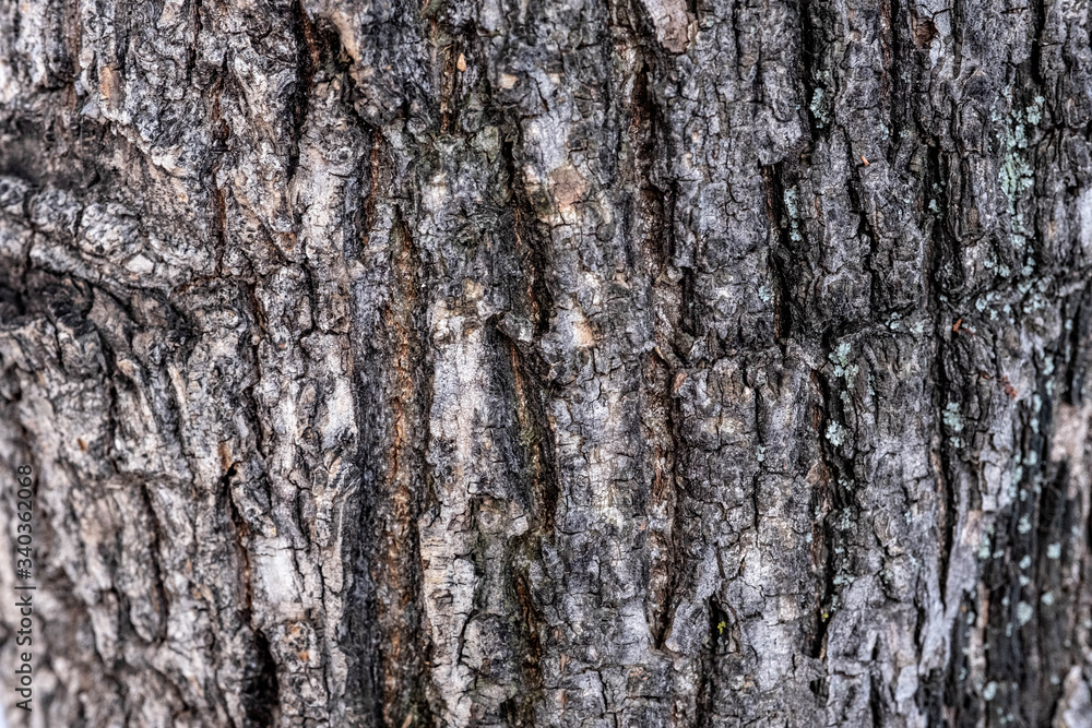 Texture Texture