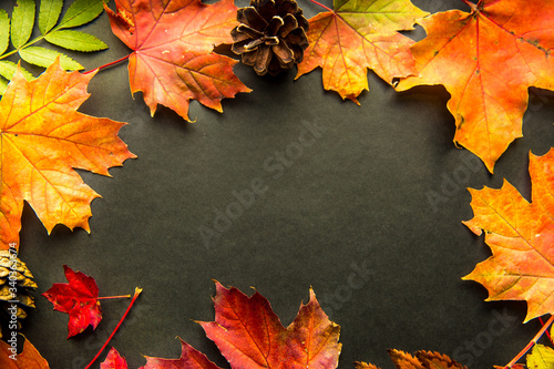 autumn background with colored leaves on wooden board 