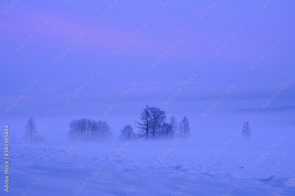 Foggy, misty and snowy winter evening with purple and pink sunset. Foggy, misty and snowy winter evening with purple and pink sunset.
