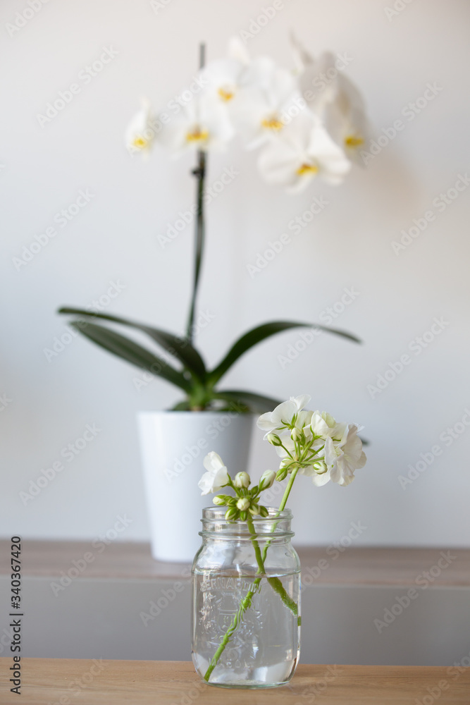 White orchids in white pot with a white geranium blossom in a glass mason jar