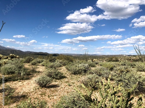 Touring the scenic Arizona Desert and Cacti