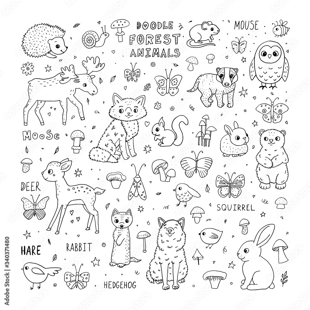 Cute doodle forest animals. Cartoon characters and lettering