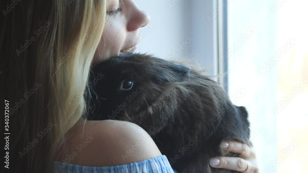 Concept of friendship and pets. Portrait of happily smiling woman holding cute pet rabbit Concept of friendship and pets. Portrait of happily smiling woman holding cute pet rabbit