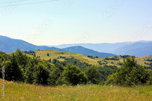 Landscape of green meadow covered with fresh grass in the summer mountains Forest glade high in the mountains in a shine day. Carpathian, Ukraine