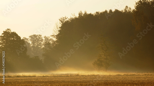 Morning fog at sunrise © Piotr