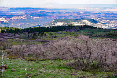 Fototapeta Naklejka Na Ścianę i Meble -  beautiful mountain landscape 