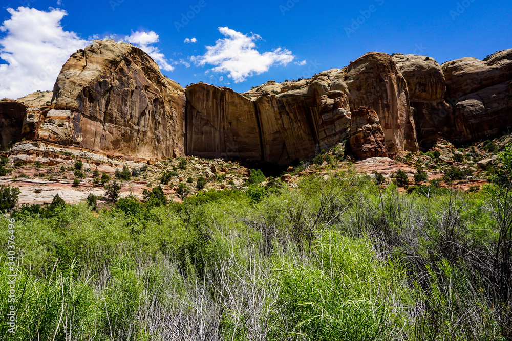 Fototapeta premium red rock canyon