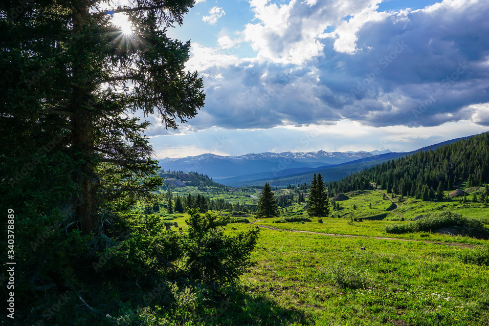 Obraz premium mountain landscape with trees