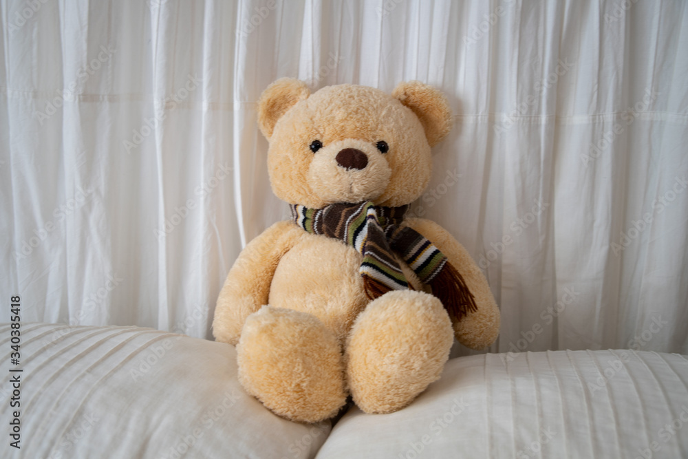 Fototapeta premium Teddy bear 