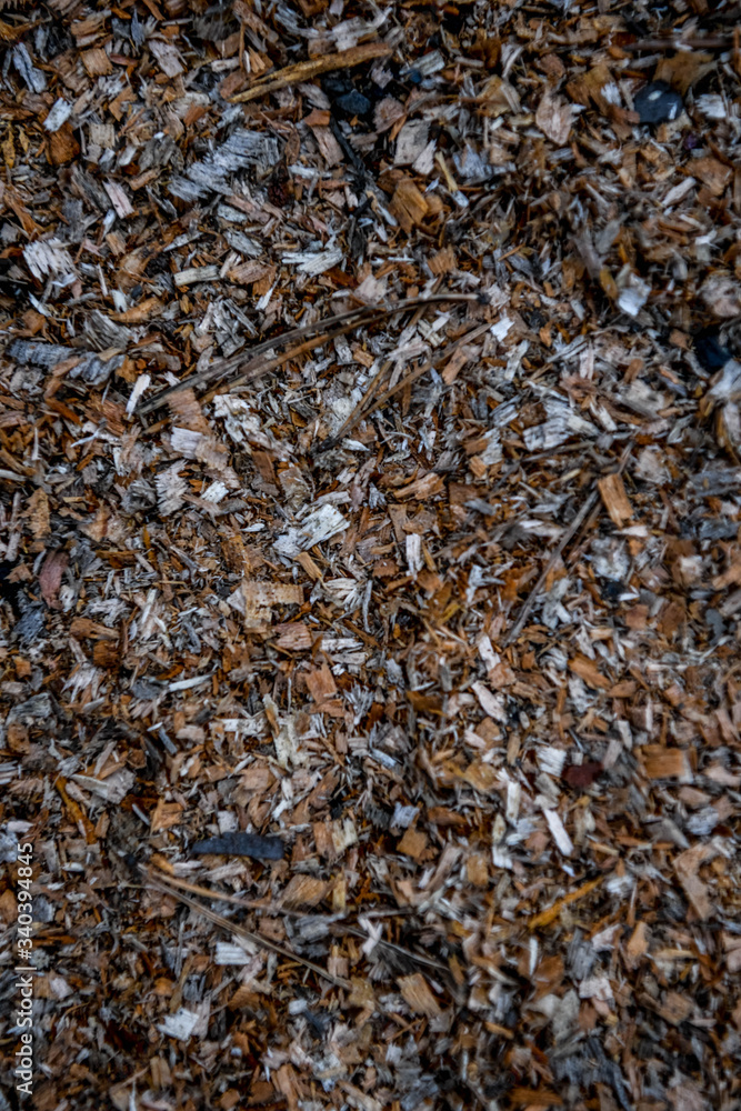Texture Texture