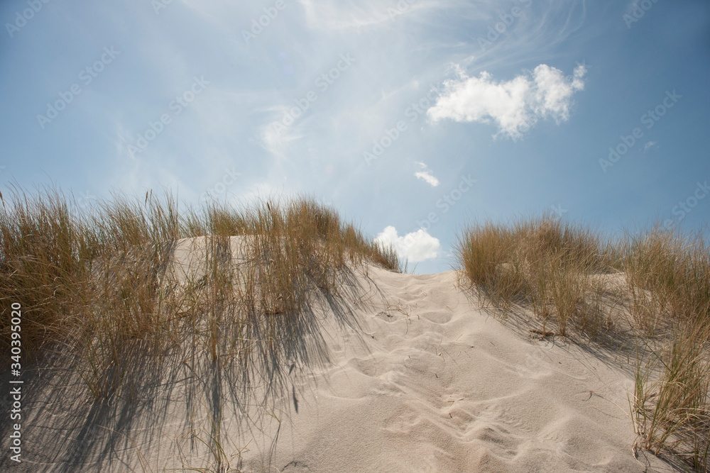 grass at white dunes