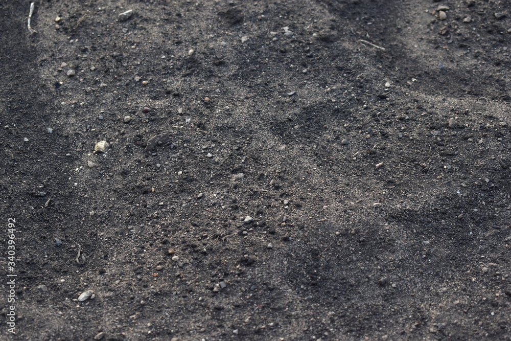 Surface of black soil and humus with manure Surface of black soil and humus with manure