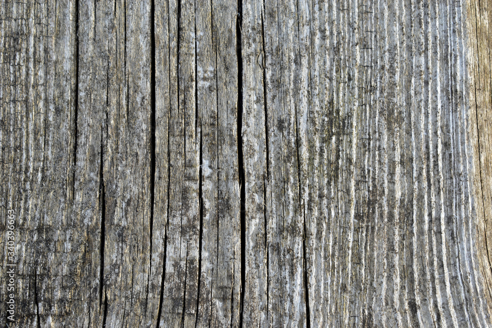 The surface of old cracked and rotten wood The surface of old cracked and rotten wood