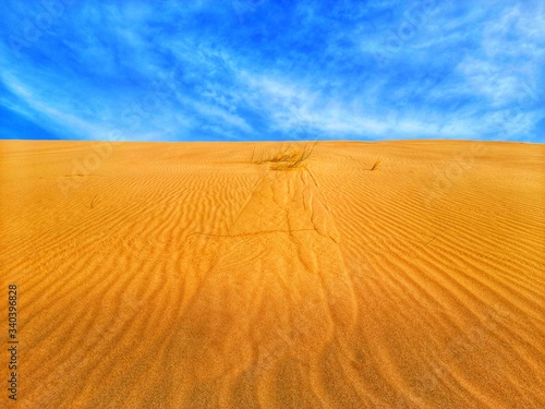 Sand dunes in desert of Algeria © younes39
