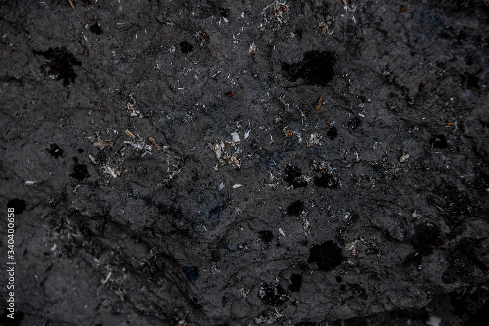 Texture Texture