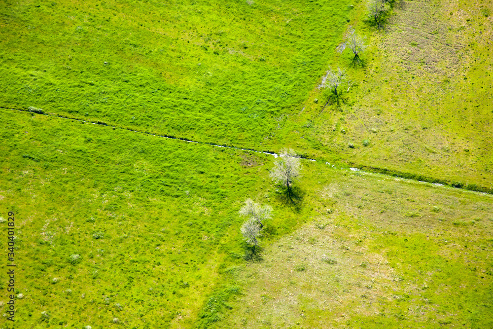 Green Field Green Field