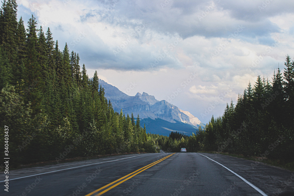 Fototapeta premium Forest road leading to mountain