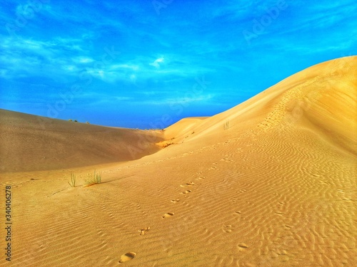 Sand dunes waves in desert