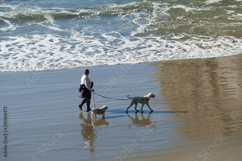 Silhouettes of dog and owner on the beach photo