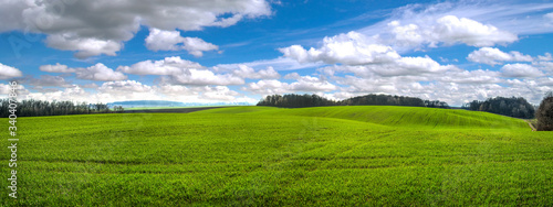 panoramic view fields winter wheat at hilly terrain in spring with cloudy sky