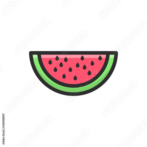 Water Melon Vector Icon