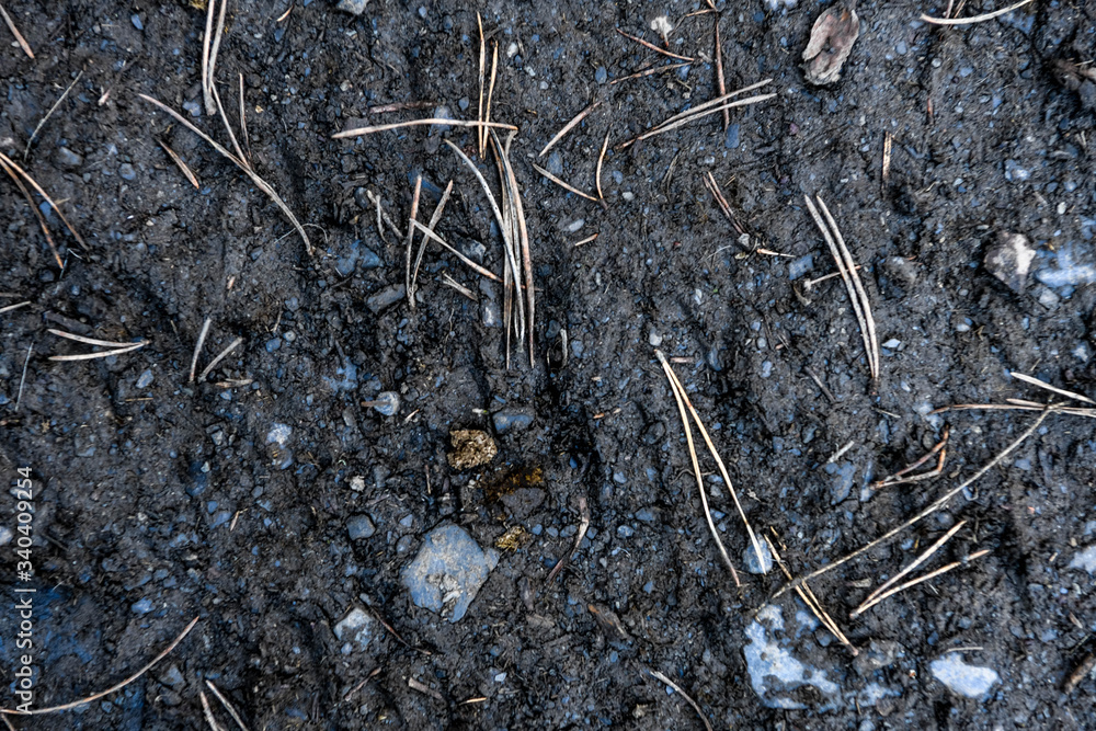 Texture Texture