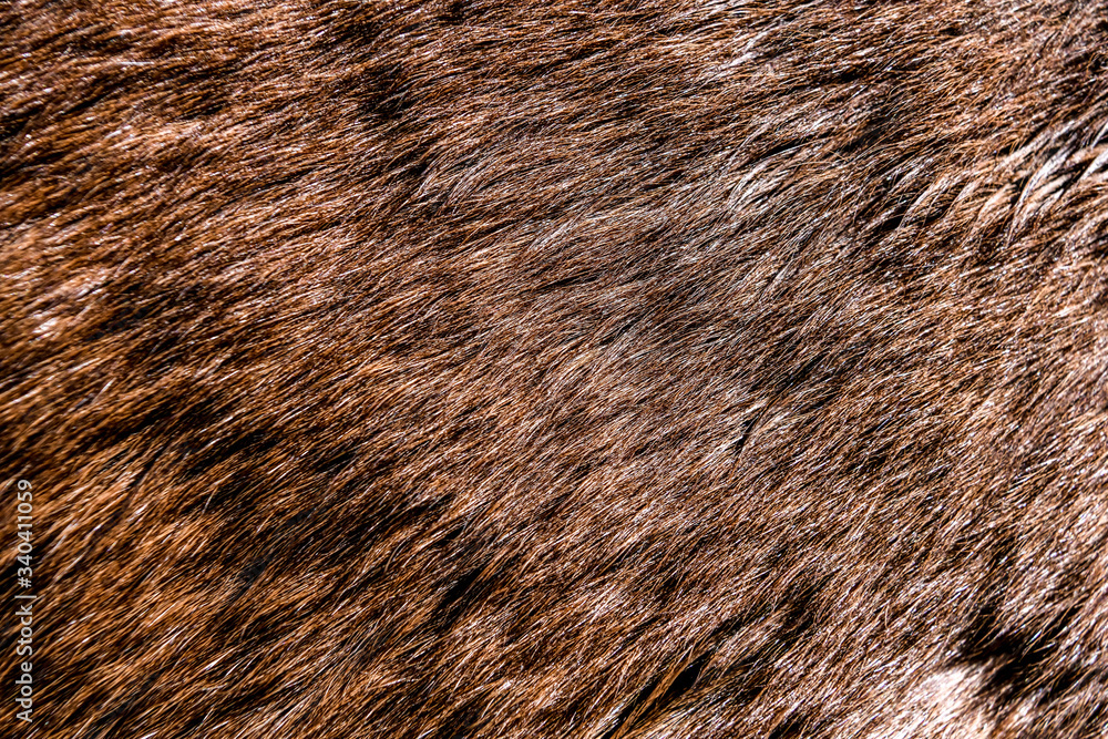Texture Texture