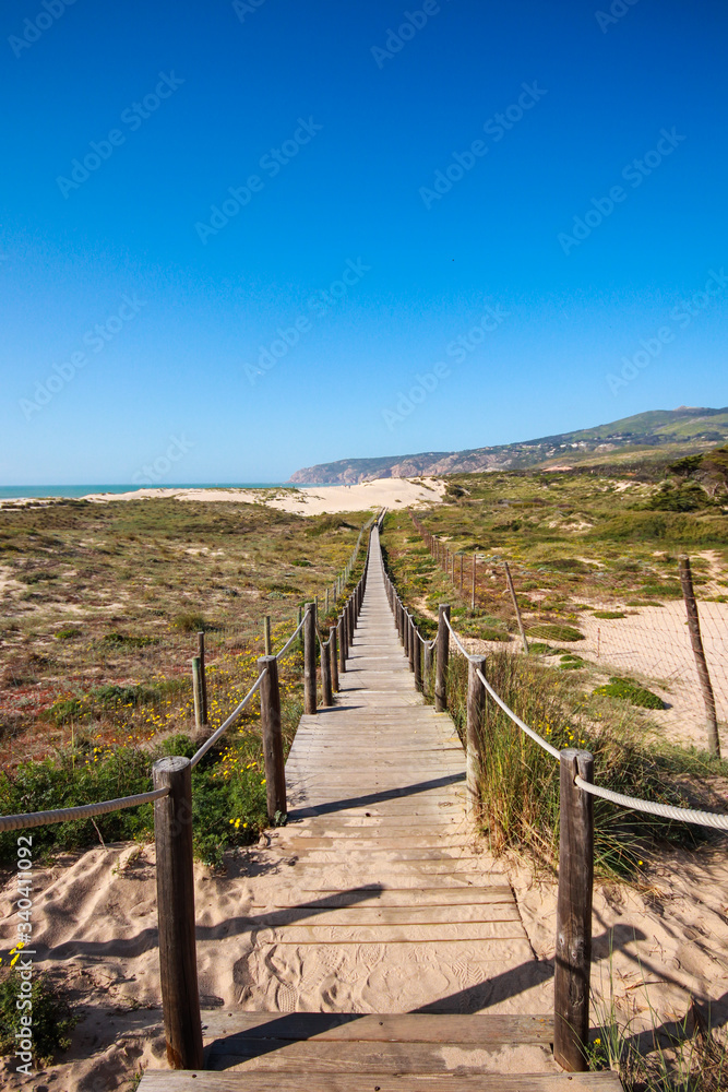 Wooden pathway over the dunes