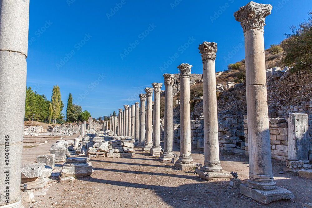 Fototapeta premium The ruins of the ancient city of Ephesus in Turkey.