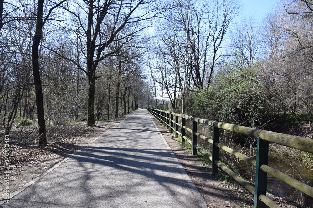 Strada nel parco Strada nel parco