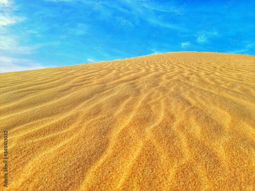 Fototapeta premium Sand dunes waves in desert