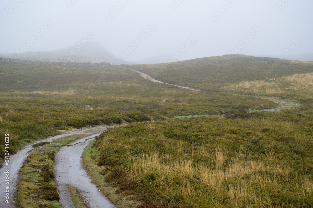Path leading to the mountains. Green grass contrasting with yellow grass. Foggy day. Freita mountain range.