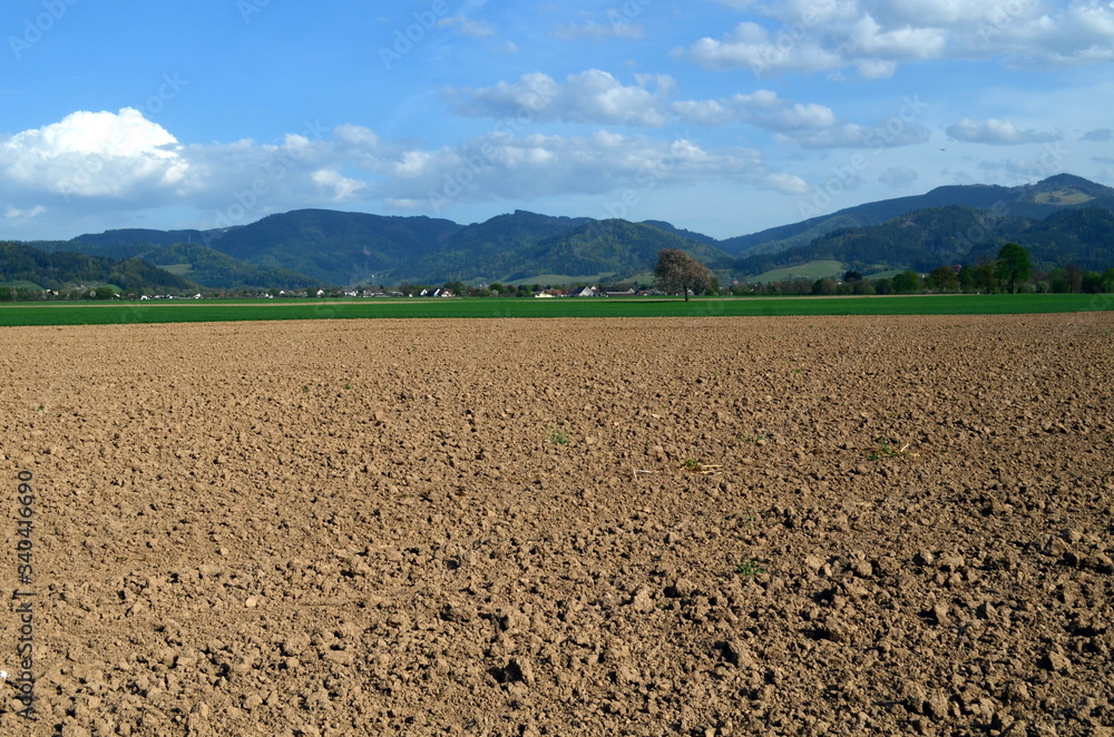 Ausgetrockneter Acker im Dreisamtal bei Freiburg Ausgetrockneter Acker im Dreisamtal bei Freiburg