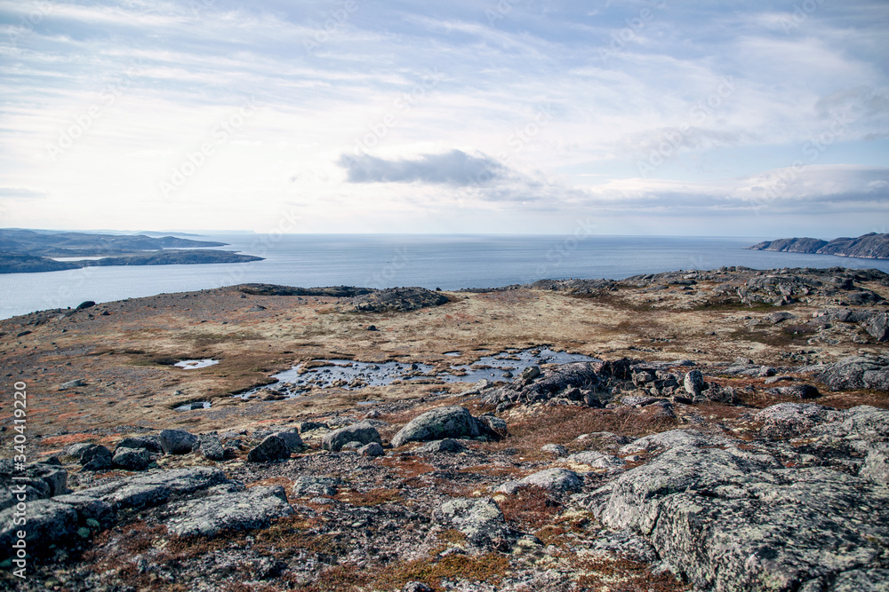 Picturesque landscapes of the tundra in the summer. Kola Peninsula Arctic Circle. 