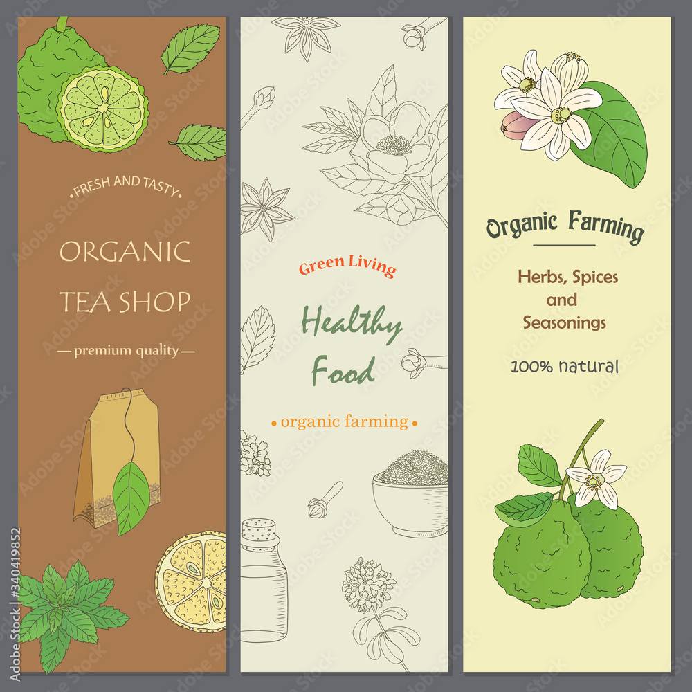 Organic collection.Vector hand drawn illustration of different ingredients for a nice tea drinking. Herbs, spices and fruits on flyer templates