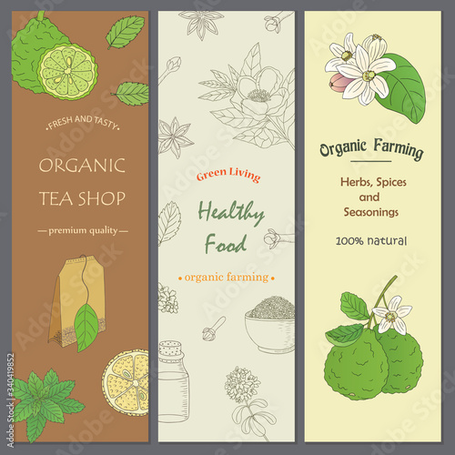 Organic collection.Vector hand drawn illustration of different ingredients for a nice tea drinking. Herbs, spices and fruits on flyer templates