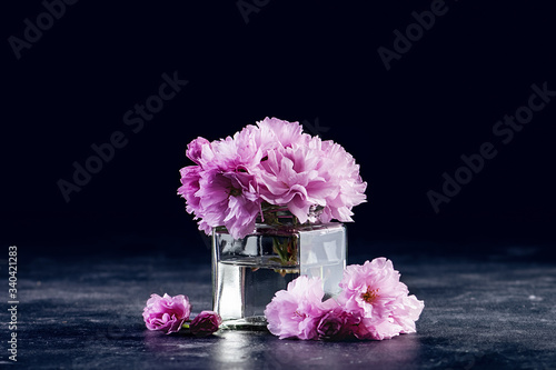 Cherry blossom, sakura flowers in a glass jar